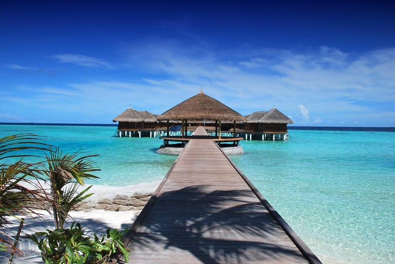 Beach Paradise