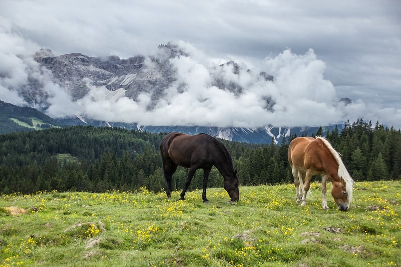 Mountain Landscape